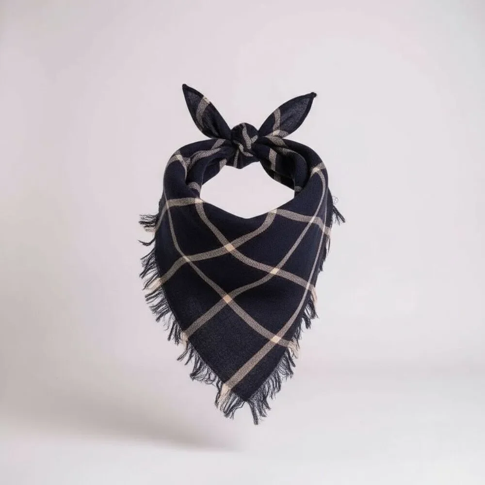 Madewell Plaid Bandana Scarf in Blue Fringed Edge Check Square Kerchief